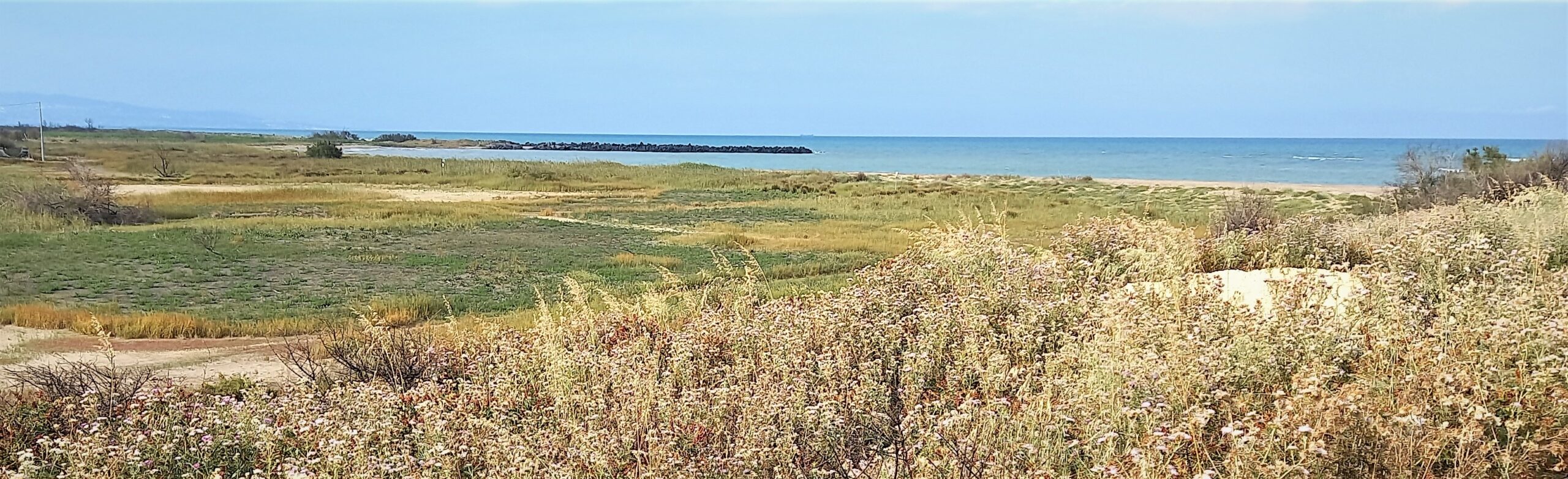 oasi della playa congiunzione simeto progetto rimboschimento 1mqdb rispetto pianeta imprints of peace