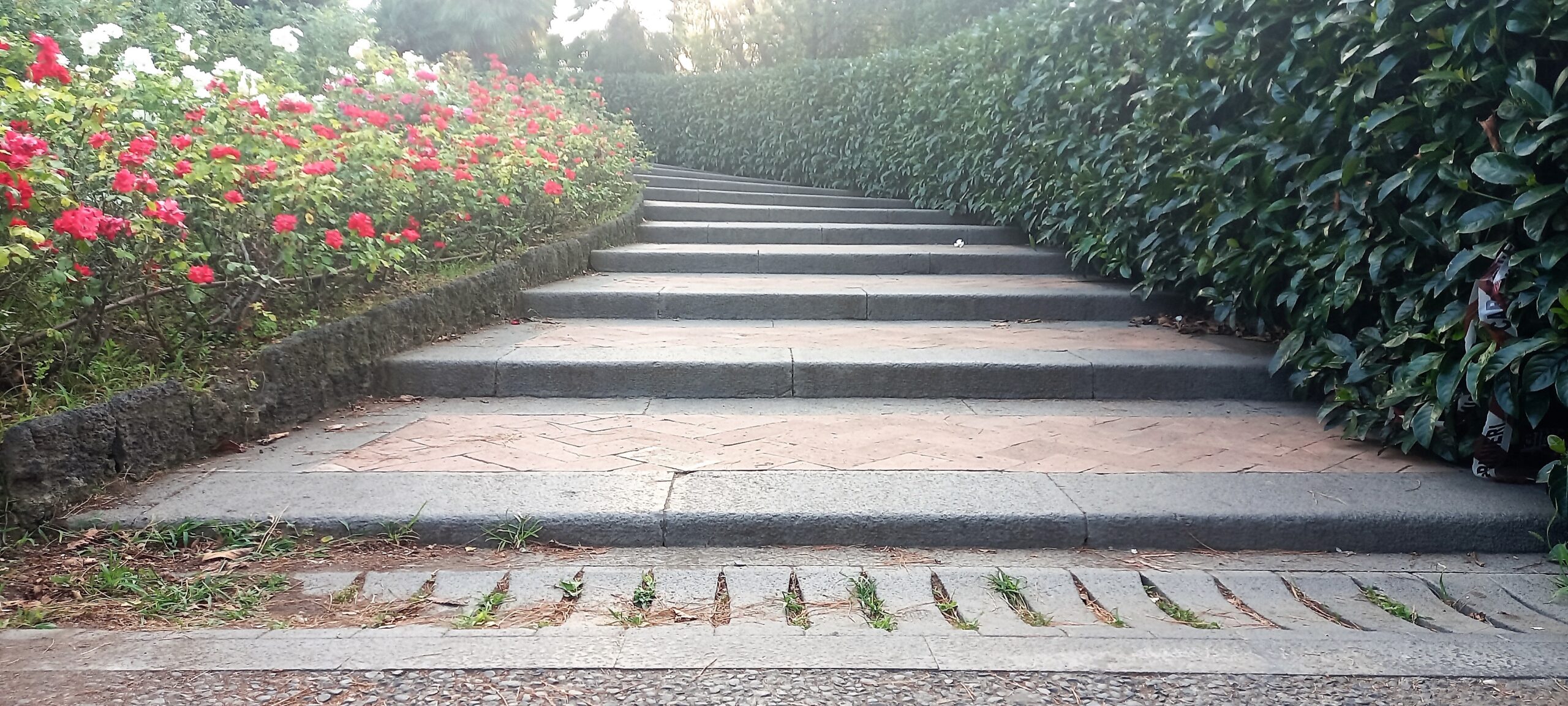 scale delle rose il giardino dentro il giardino 1mqdb villa bellini catania visionaria