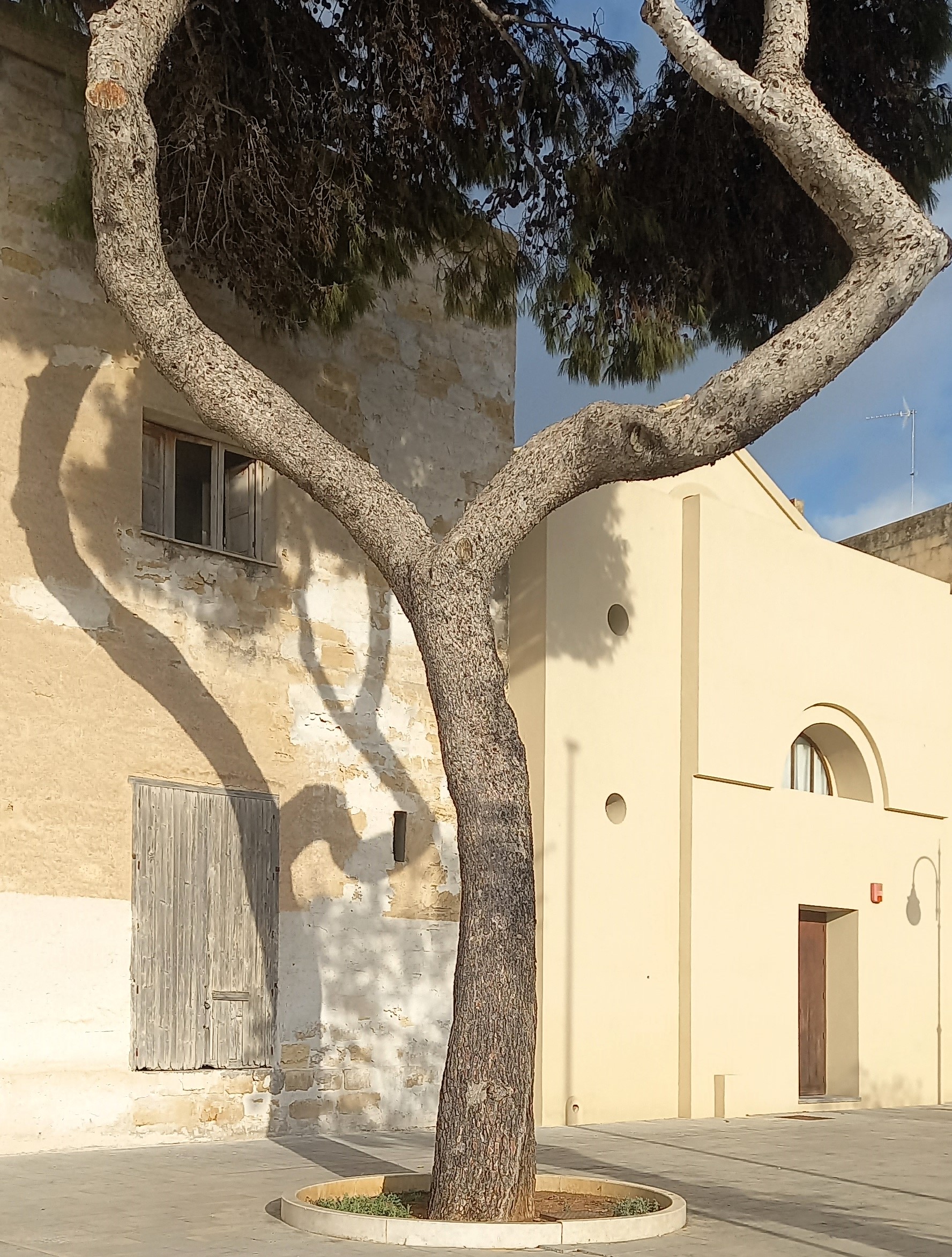 Mazara del Vallo Visionaria Sicily needs love 36 godere della superficie della luce che accarezza ombre  all'ingresso di un centro