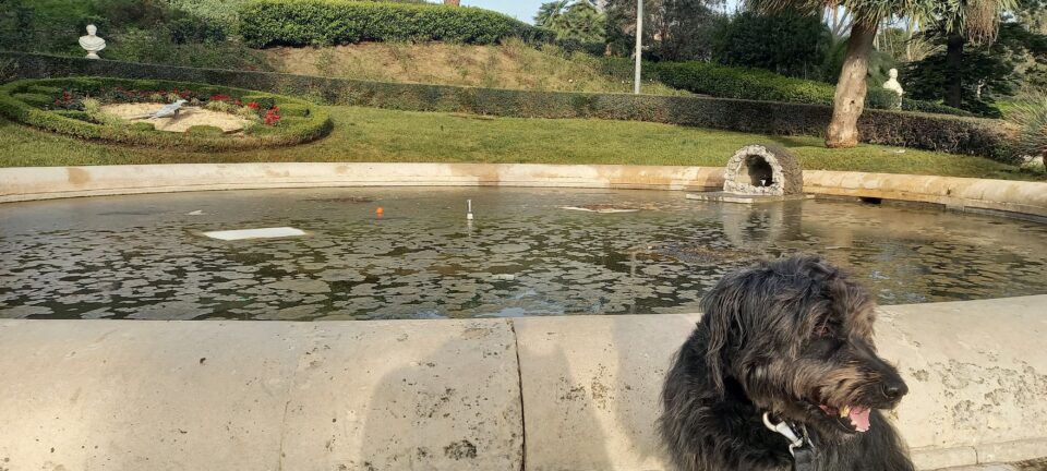 Micro Macro il Giardino dentro il giardino Villa Bellini Mia Catania Visionaria