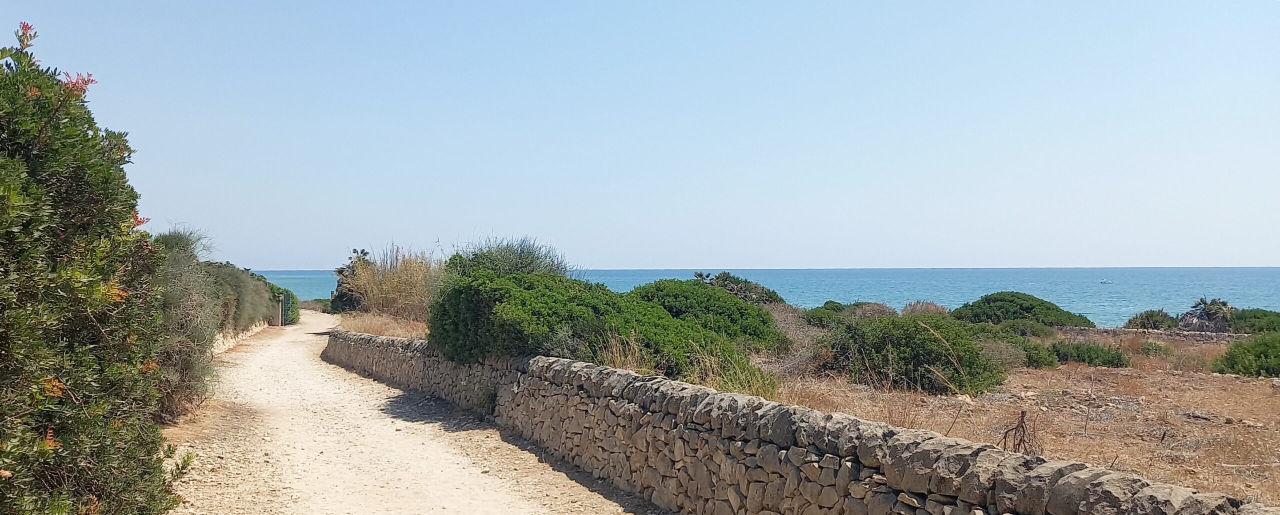 Riserva Irminio Ragusa Visionaria Sicily needs love