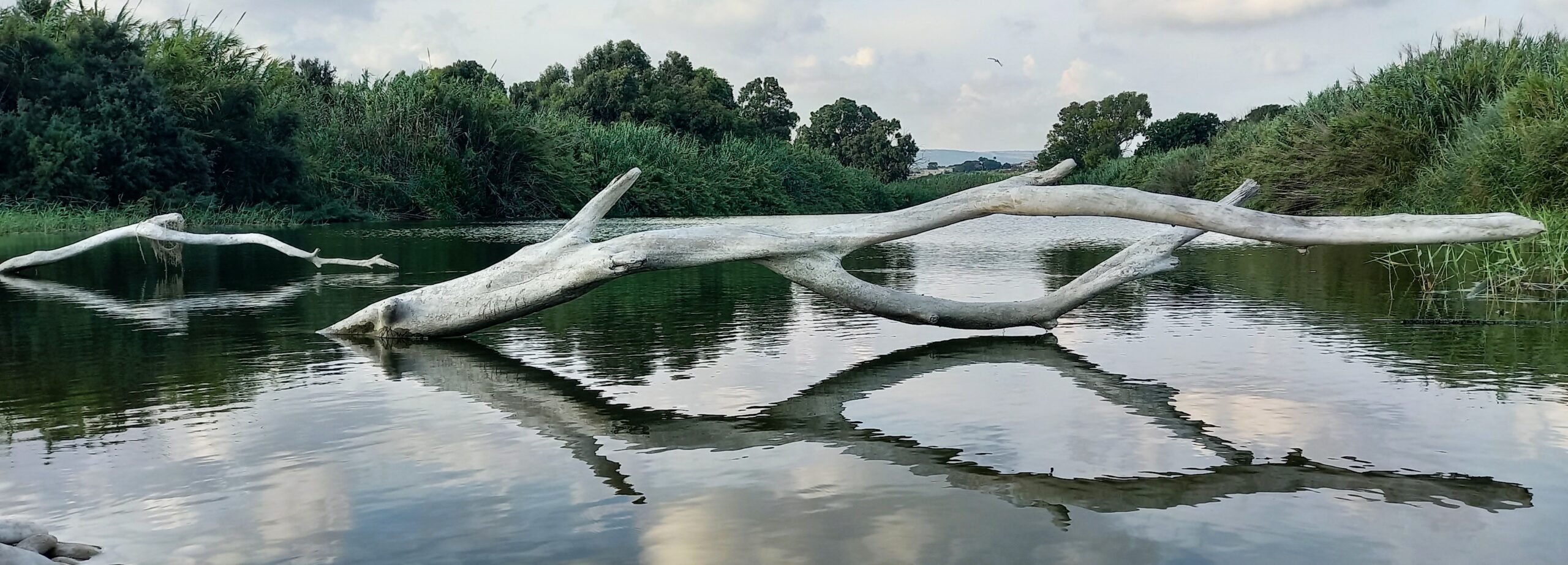 Sculture Involontarie Ragusa Visionaria Riserva Irminio Sicily needs love Manifestazioni Madre Terra