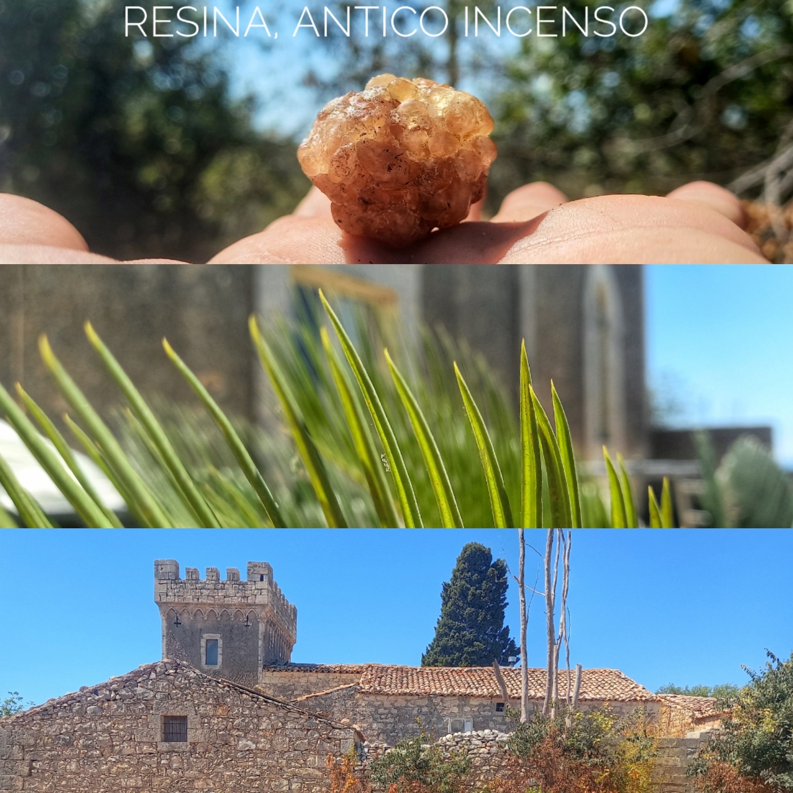 resina antico incenso terre di martorina