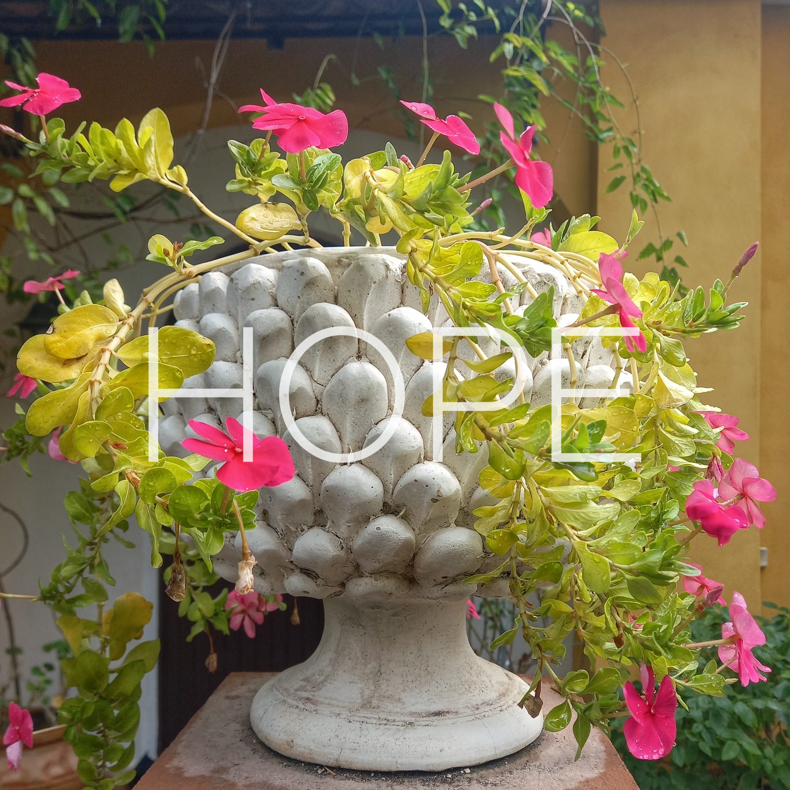 hope 1mqdb